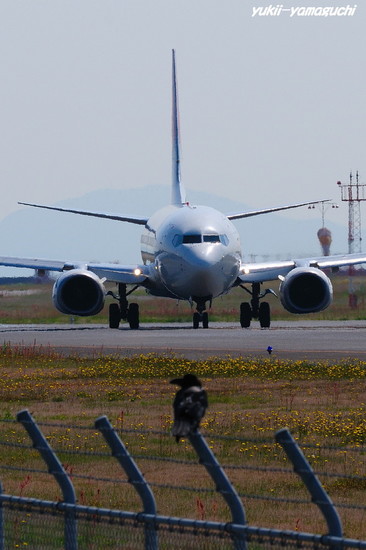宇部空港05.jpg