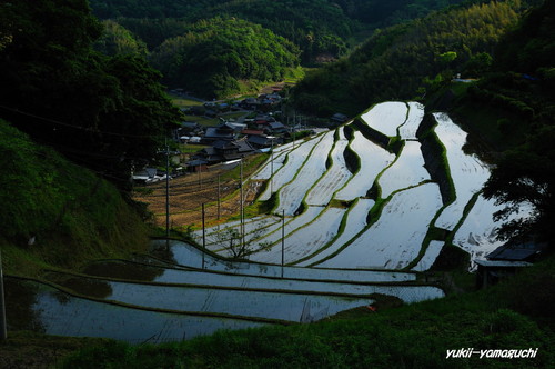四郎谷棚田02.jpg