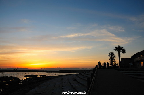 焼野夕日04.jpg