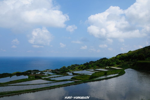 東後畑01.jpg