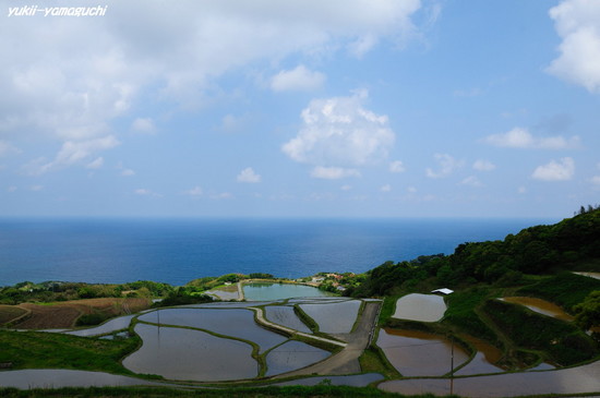 東後畑02.jpg