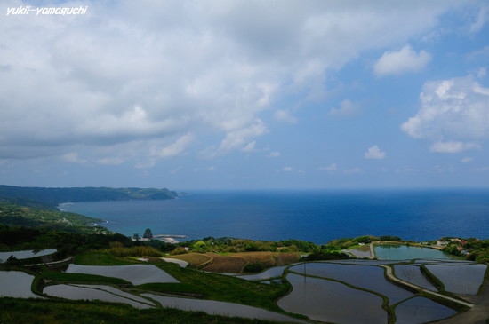 東後畑03.jpg