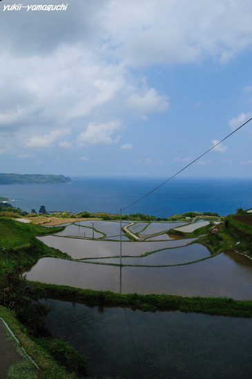 東後畑04.jpg