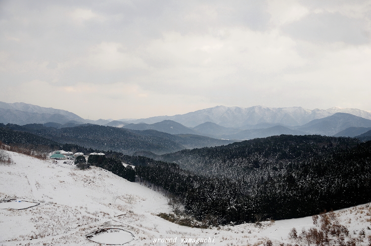 秋吉台11.jpg