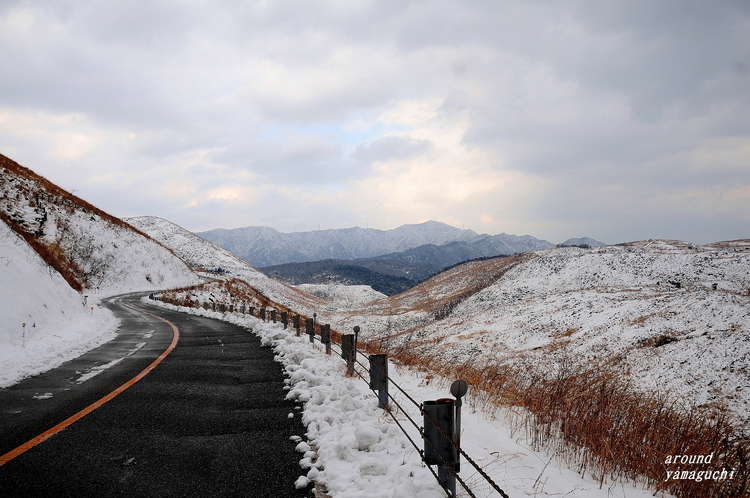 秋吉台14.jpg