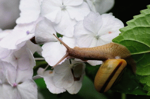 20100701-010057-08920400.gif