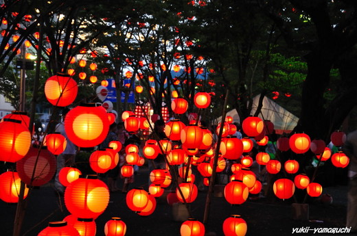 ちょうちん祭り11.jpg