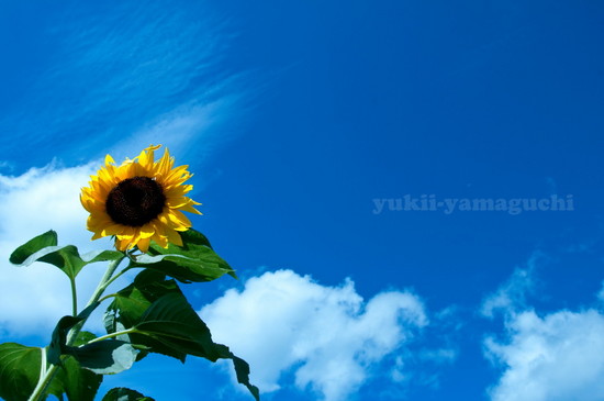 みのりの丘01.jpg