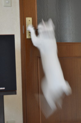 サンタ 136.JPG