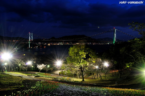 トルコチューリップ園07.jpg