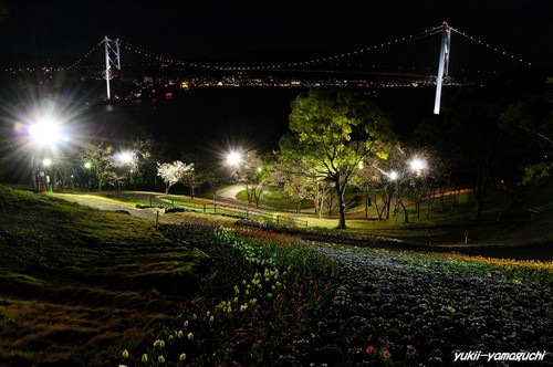 トルコチューリップ園08.jpg