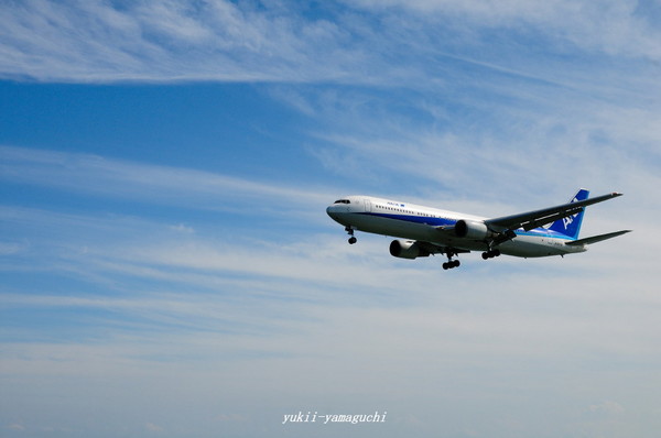 ANA01.jpg