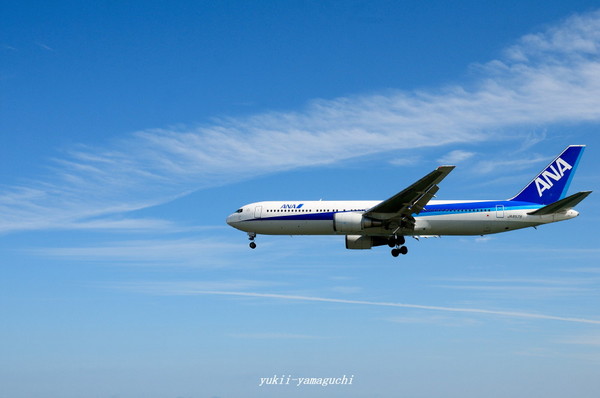 ANA03.jpg