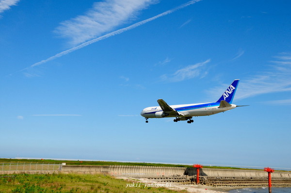 ANA04.jpg
