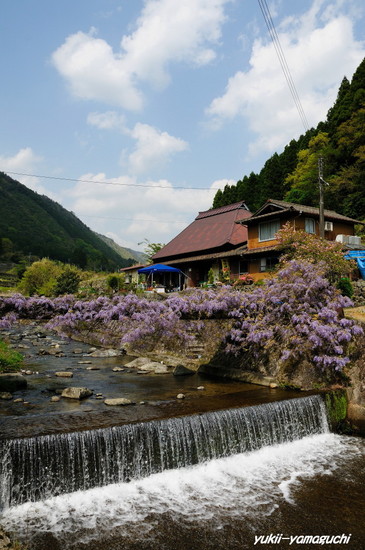 愛のふじ橋02.jpg
