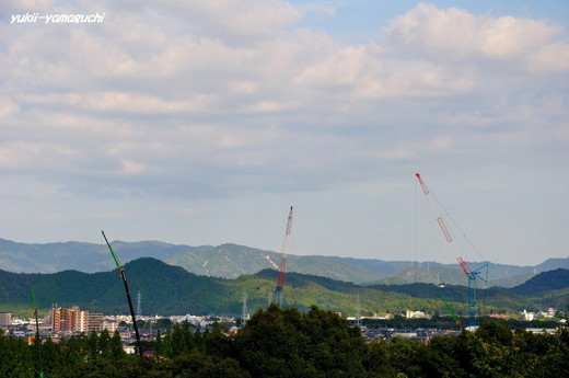維新公園01.jpg