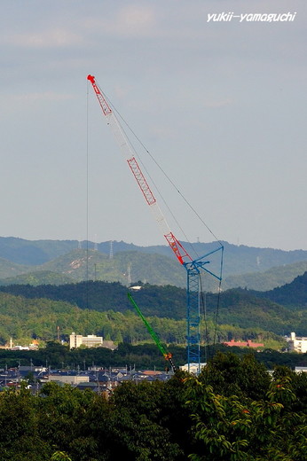 維新公園05.jpg