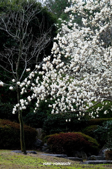 永源山0316-01.jpg