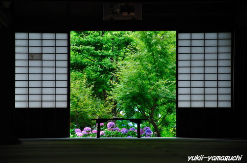 花供養05.jpg