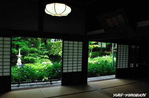 花供養06.jpg