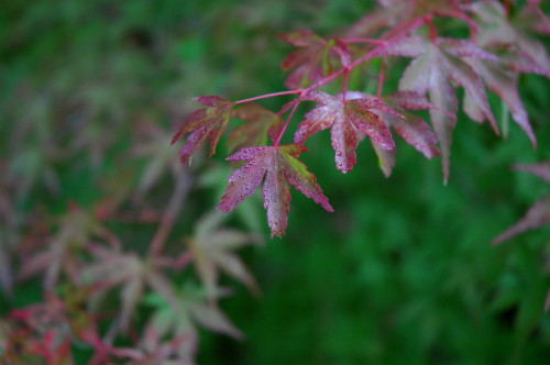 江汐公園 012_1.jpg