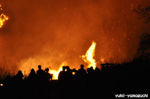秋吉台野火祭り05.jpg