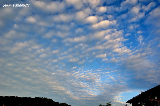 秋空01.jpg