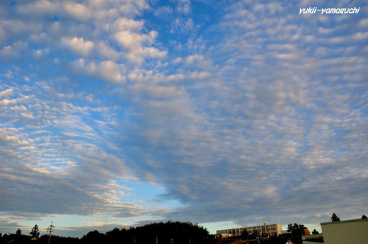 秋空02.jpg