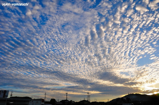 秋空03.jpg
