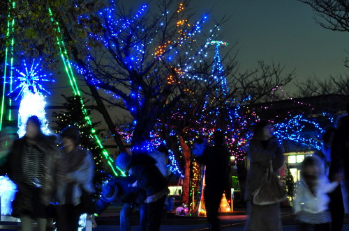常盤公園014.jpg