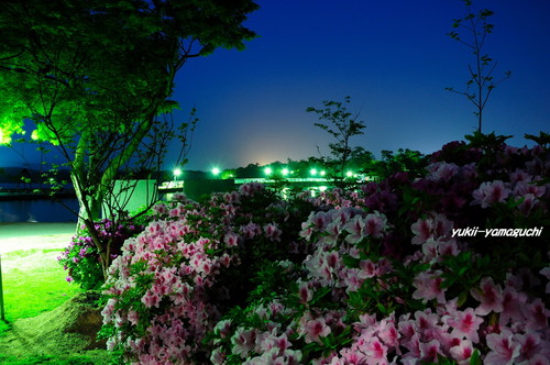 常盤公園15.jpg