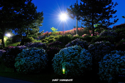 常盤公園16.jpg