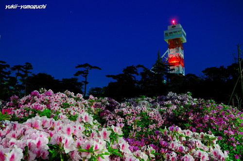 常盤公園17.jpg