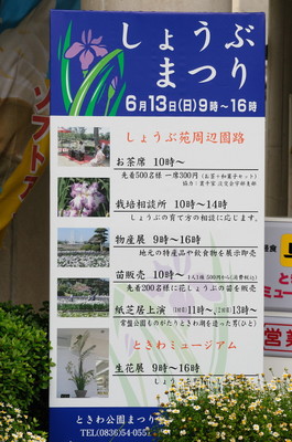 常盤公園温室他 052.JPG