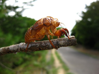 常盤公園北側周辺.JPG