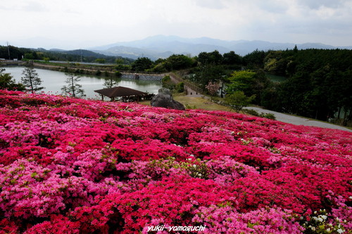 菅無田03.jpg