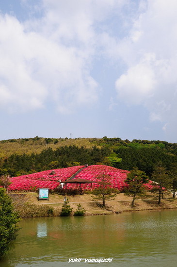 菅無田05.jpg