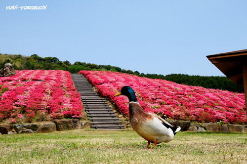菅無田08.jpg