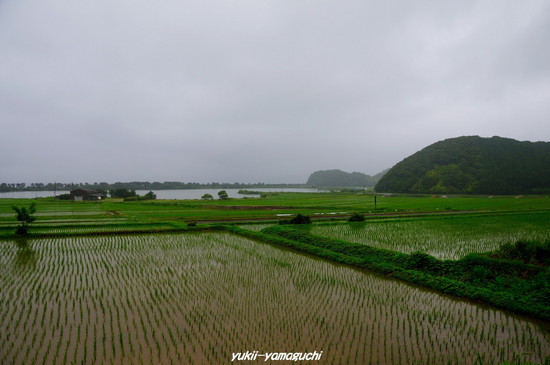 青海棚田04.jpg