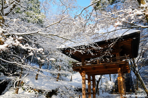 雪の両足寺01.jpg