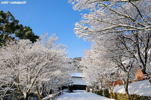 雪の両足寺02.jpg