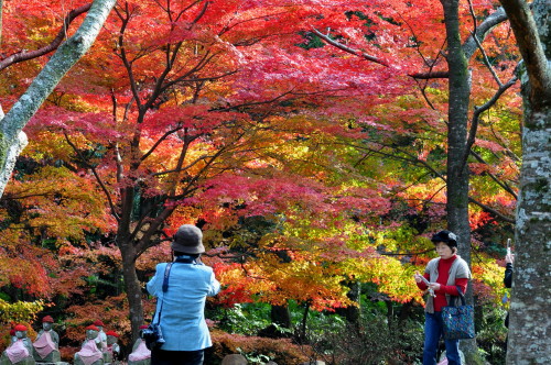 大寧寺012.jpg