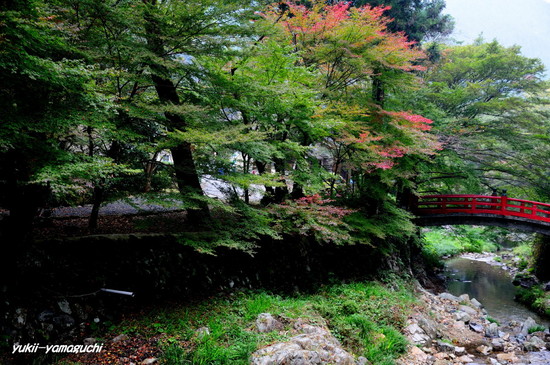 大寧寺03.jpg