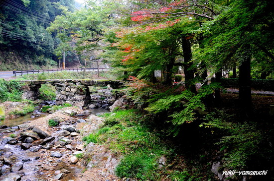 大寧寺04.jpg