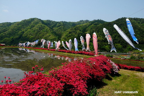 津和野・麓耕03.jpg
