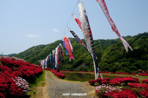 津和野・麓耕05.jpg