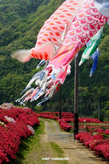 津和野・麓耕06.jpg