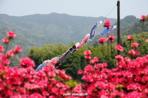 津和野・麓耕08.jpg