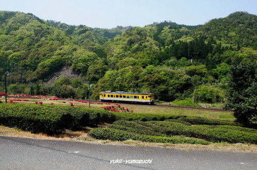 津和野・麓耕09.jpg