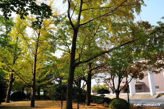 渡辺翁04.jpg